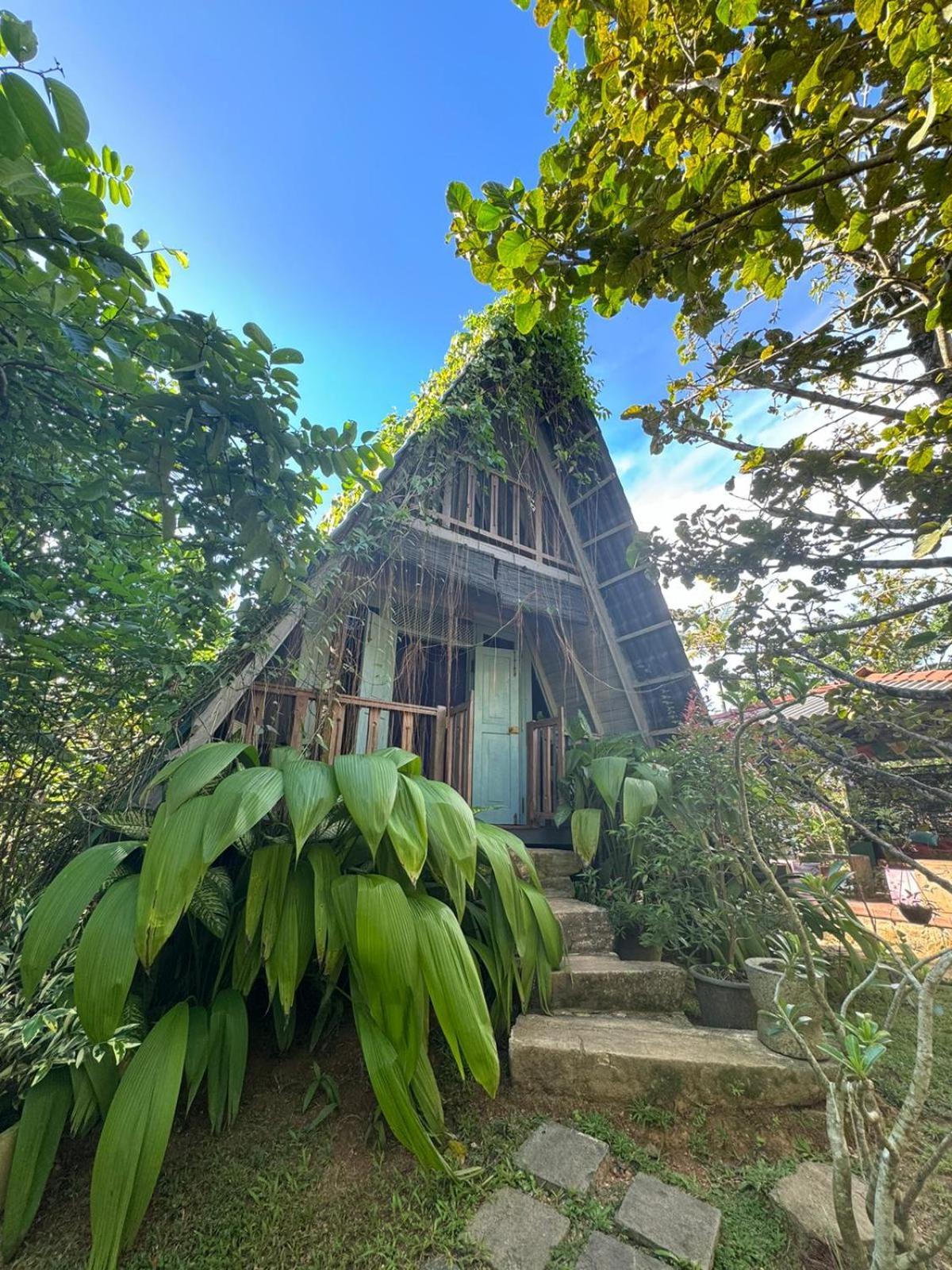 Villa Ovita Talpe Exteriör bild
